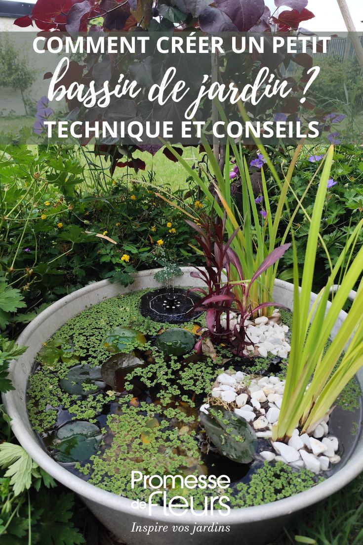 Un petit bassin hors sol de jardin