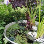 Comment créer un petit bassin de jardin ?