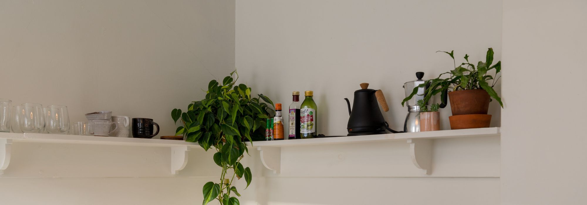 Plantes d’intérieur pour la cuisine : nos variétés idéales et nos astuces pour décorer cet espace
