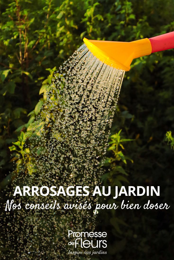 Comment arroser sans noyer vos plantes ?