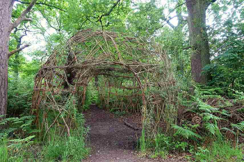 structure osier idee concept inspiration