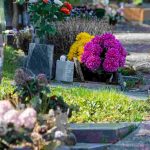 Plantes résistantes pour cimetière : que planter en pot sur une tombe ?