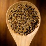 Comment récolter et conserver les graines de cumin ?