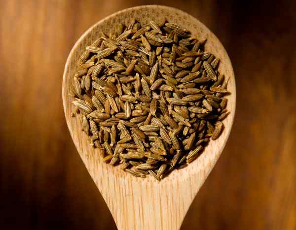 Comment récolter et conserver les graines de cumin ?