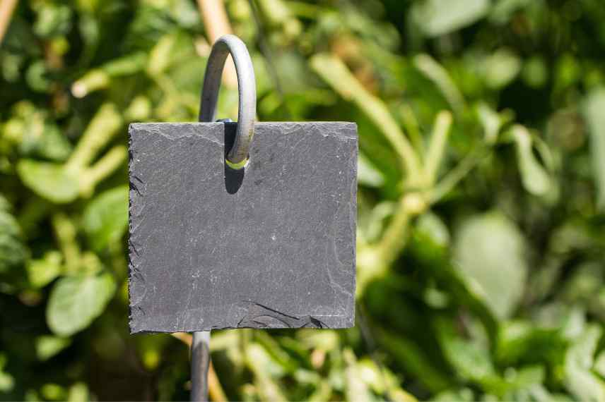 decor schiste jardin