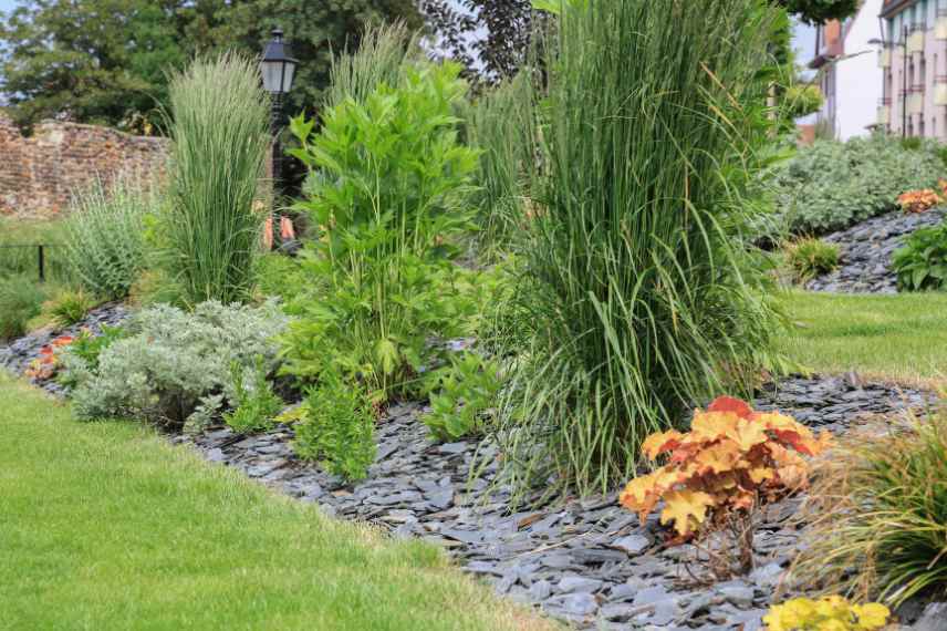 ardoise comme paillage paillis