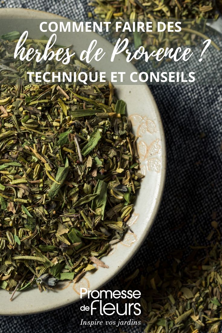 bol avec des herbes de provence