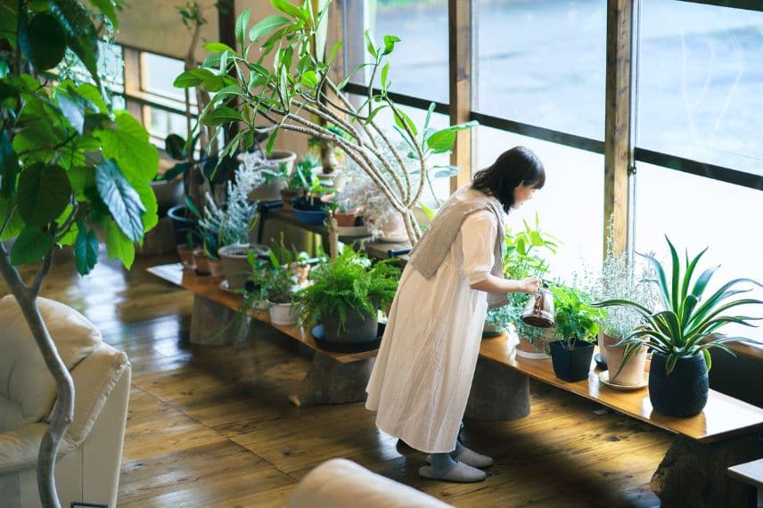 une dame arrose ses nombreuses plantes vertes