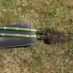 Comment multiplier la prêle (Equisetum) au jardin ?