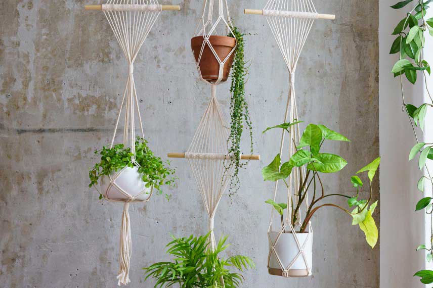 Plantes d'intérieur suspension en macramé