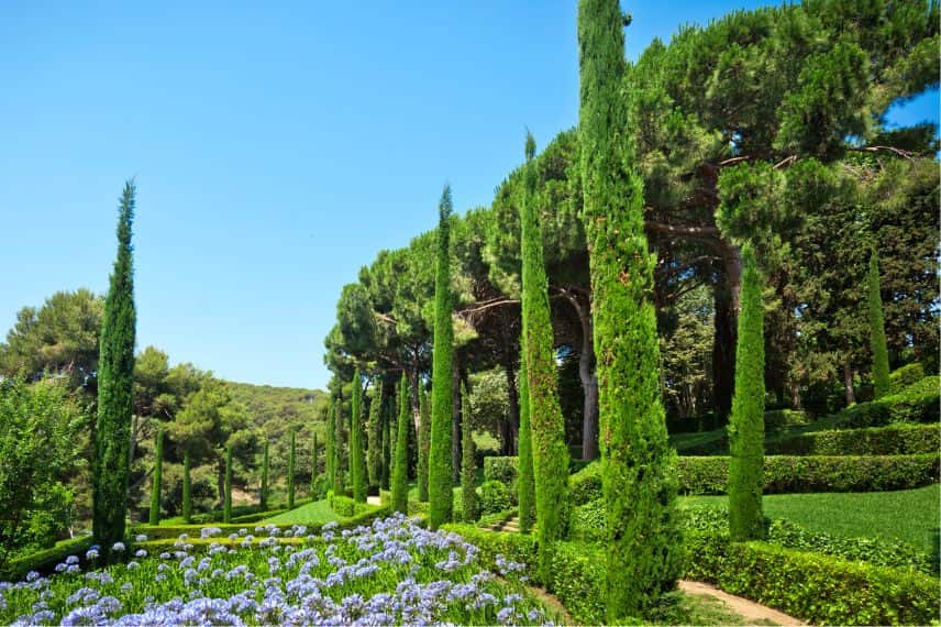 vu sur un jardin méditerranéen avec des cyprès