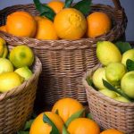 Comment récolter et conserver les agrumes ?