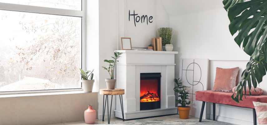 entretenir Monstera hiver