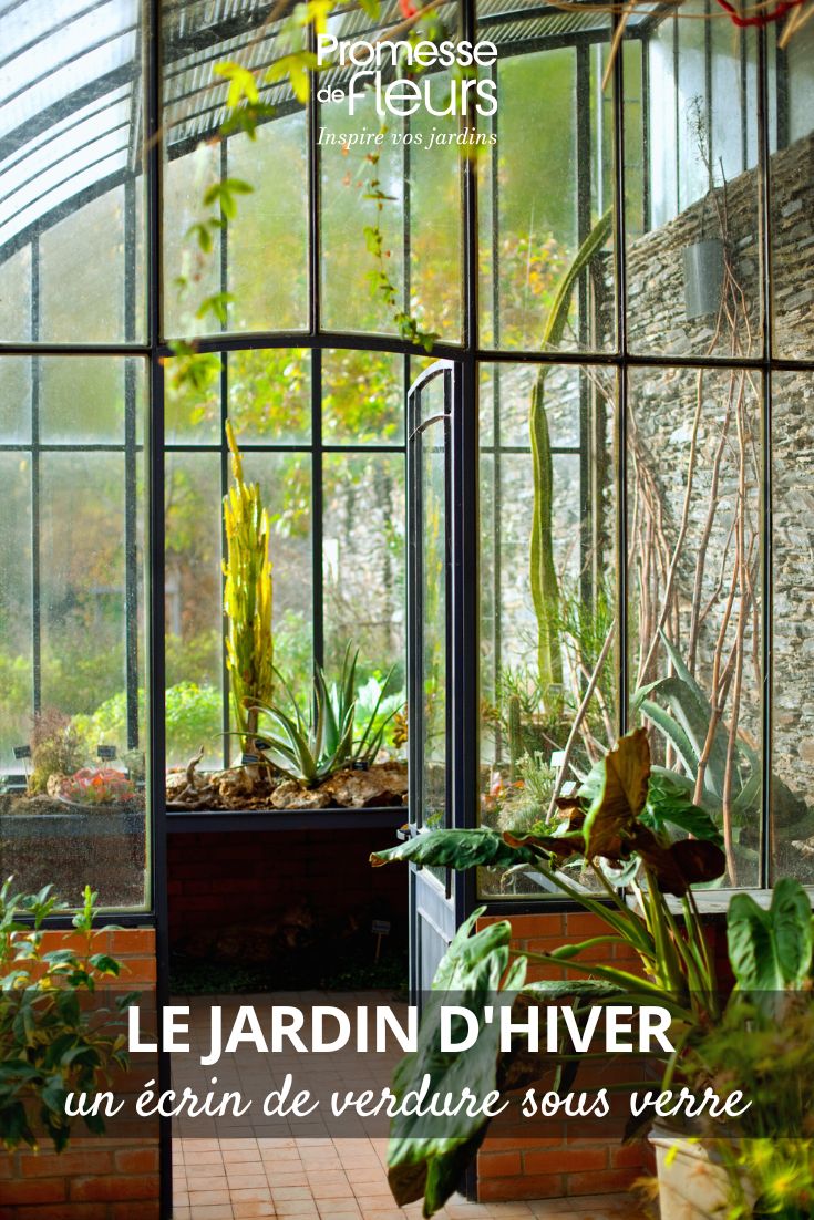 jardin sous serre et veranda