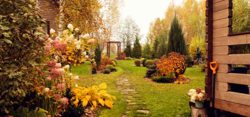 arbres beaux en automne