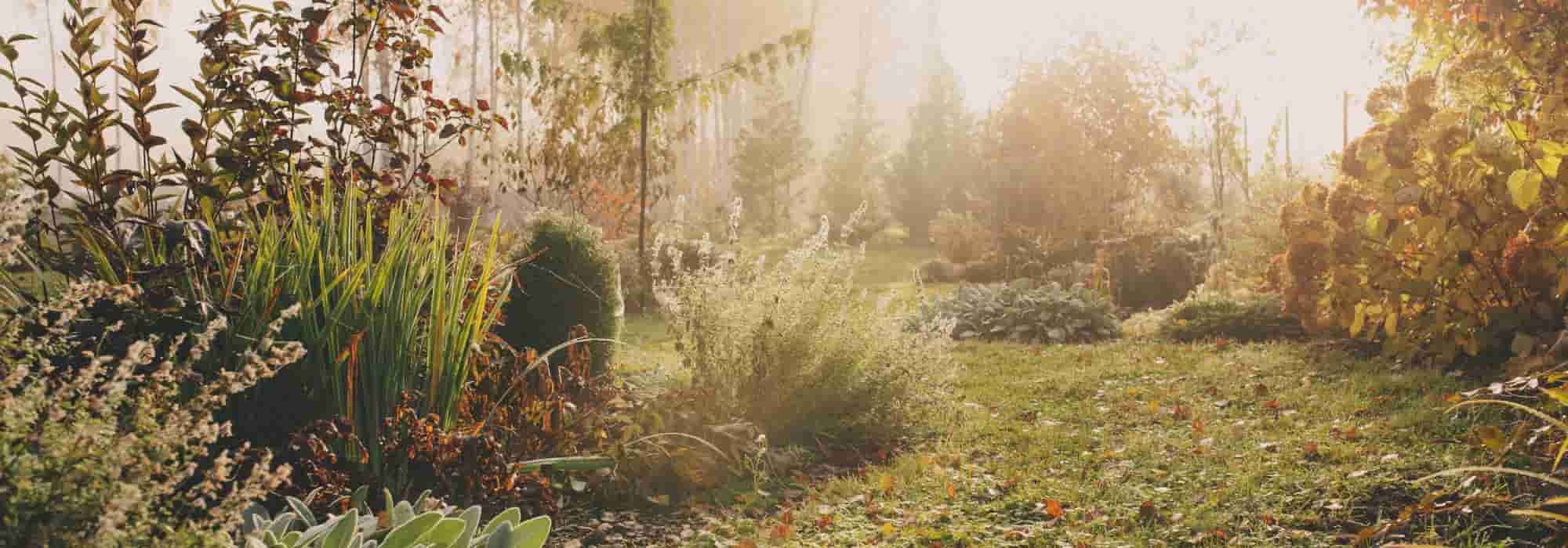 Et si on remettait les mains dans la terre à la Sainte-Catherine ?
