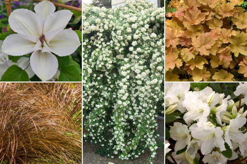 Idée d'association avec la couleur Cloud Dancer : Crème caramel