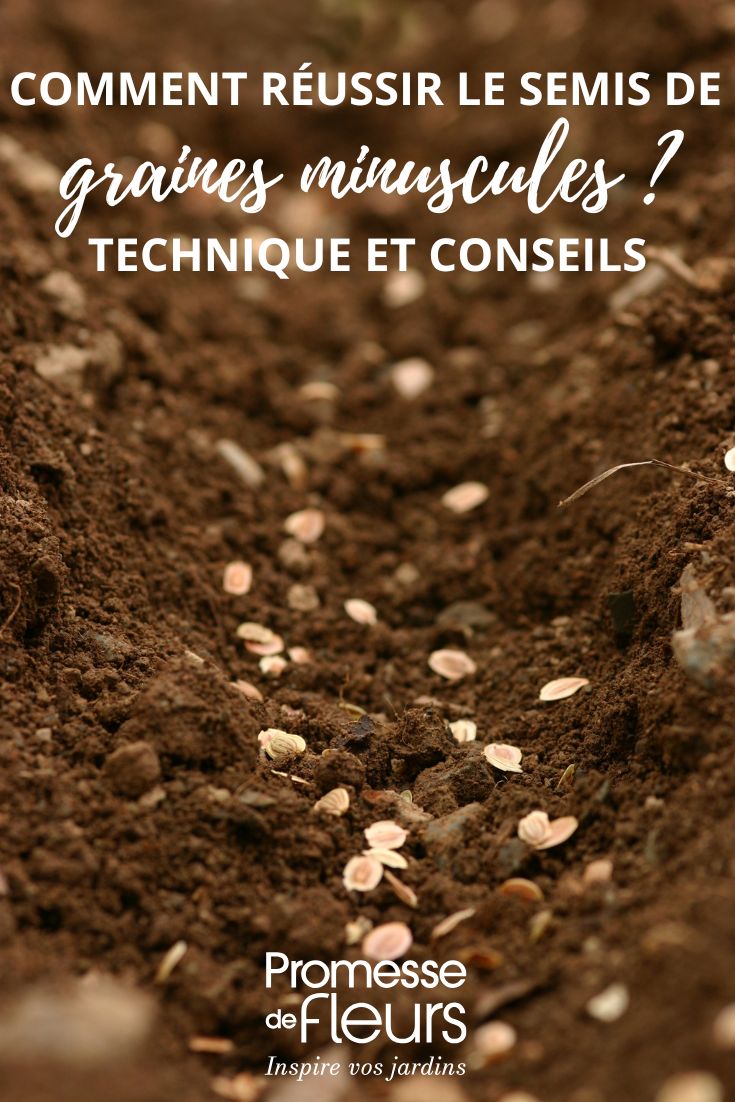 semer des petites graines