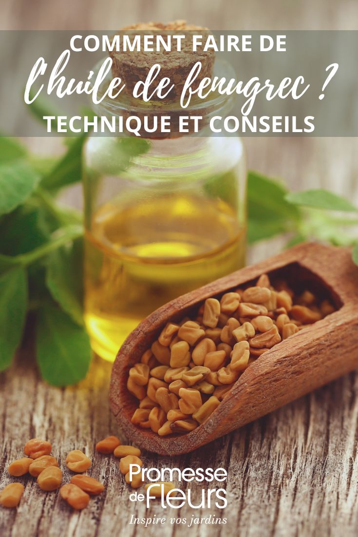 tutoriel huilde de fenugrec maison
