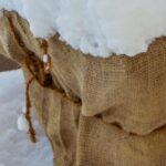 Protéger ses plantes en hiver : lutter contre le froid et la déshydratation