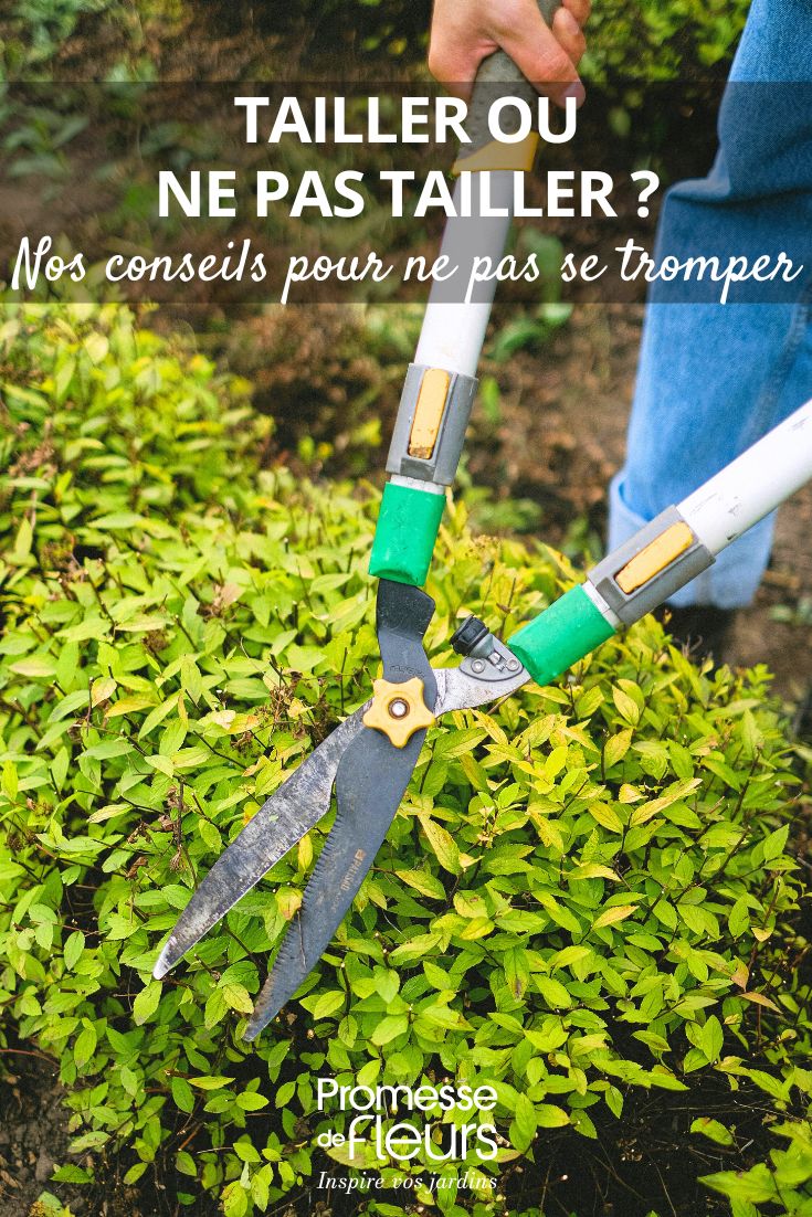 faut il tailler ou non ?