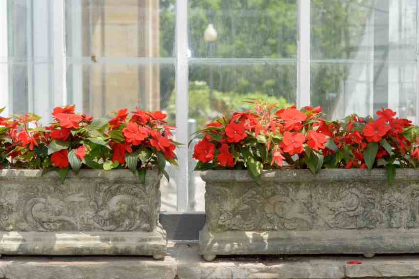 jardiniere pierre pour fleurissement