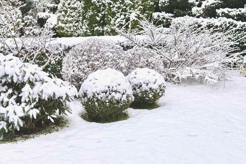 que faire jardin apres la neige