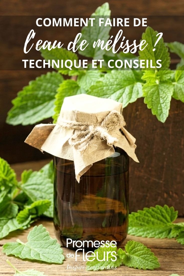 eau de mélisse