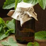 Comment faire son eau de mélisse maison ?