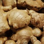 Cultiver le gingembre pour ses bienfaits sur la santé