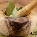 Laurier et santé : le cultiver pour profiter de ses bienfaits