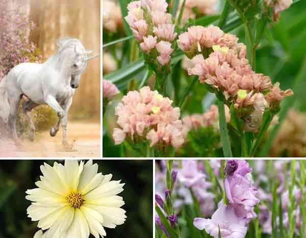 Tendance couleur Licorne