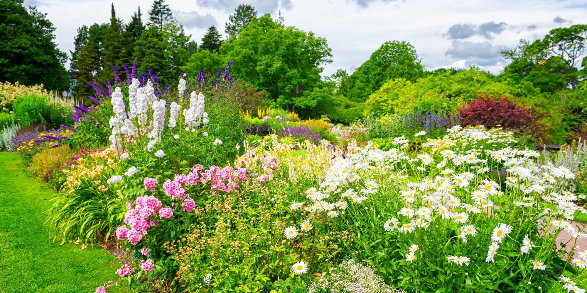 Plantation des vivaces en racines nues : les erreurs à éviter !