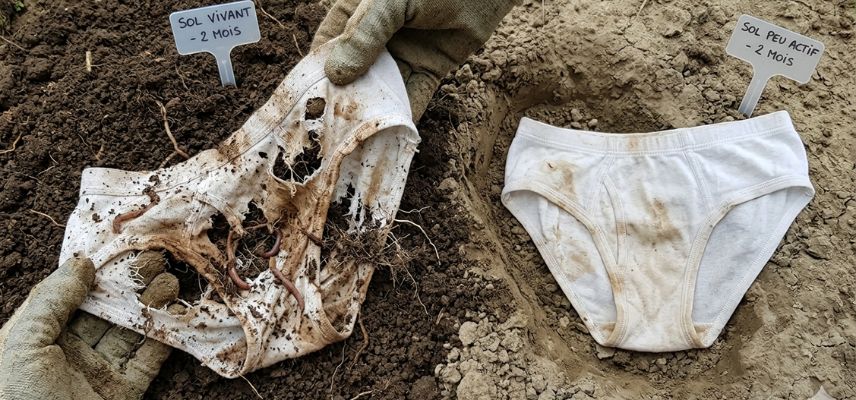 sol vivant test du slip