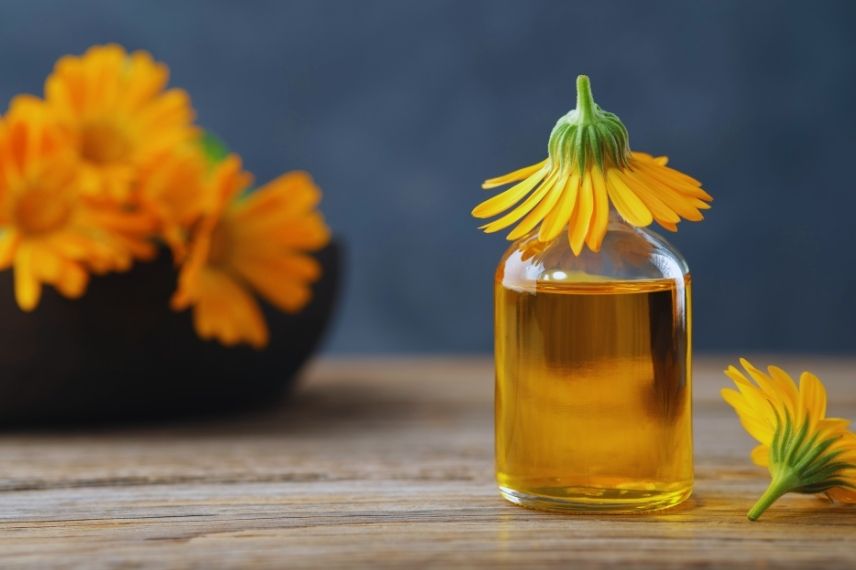 huile de calendula