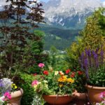 Jardin en moyenne altitude : quelles sont les plantes adaptées et les erreurs à éviter ?