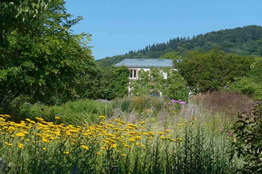 amenager massif face au vent
