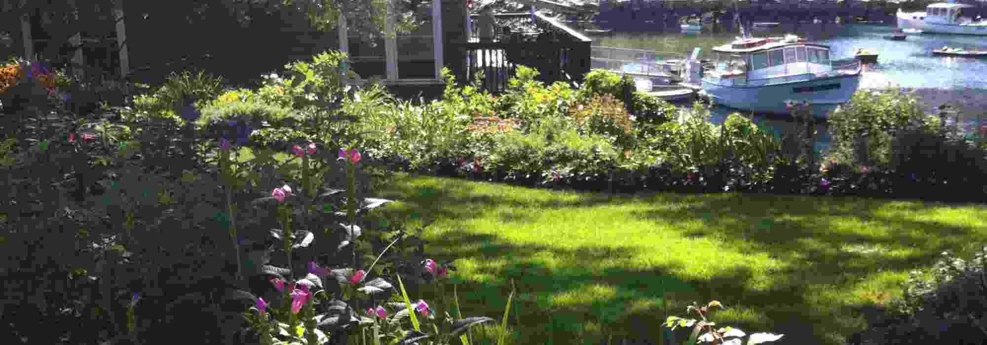 Créer un massif dans un jardin exposé aux vents