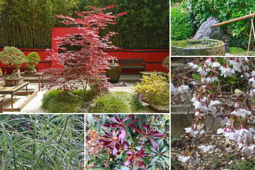 associer bambou jardin zen
