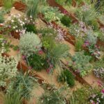 Jardin de sable : une inspiration paysagère audacieuse et actuelle