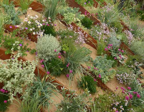 Jardin de sable : une inspiration paysagère audacieuse et actuelle