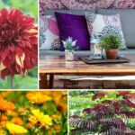 Tendance "Boho Patio" : comment aménager une terrasse au charme bohème !