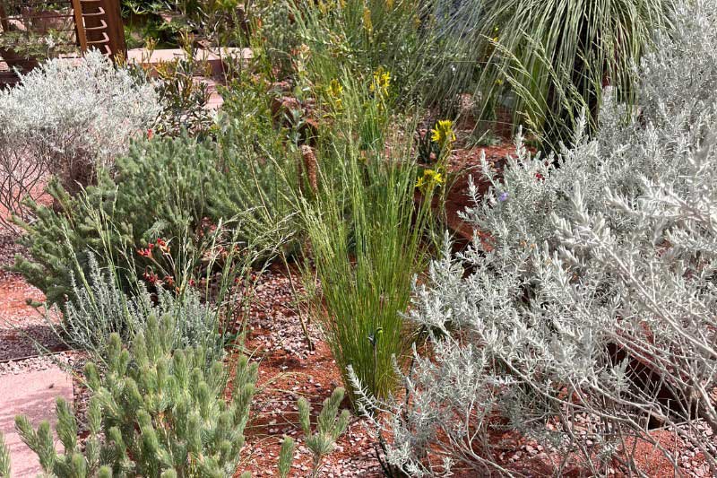 Jardin Chelsea Flower Show 2026, coup de cœur de l'équipe