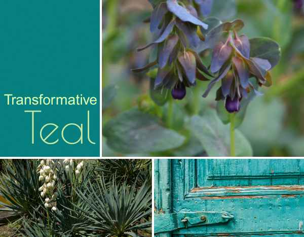 Couleur tendance 2026 "Transformative Teal" : le bleu canard métamorphose le jardin