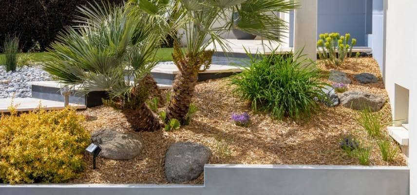 le paillage des plante économise l'eau