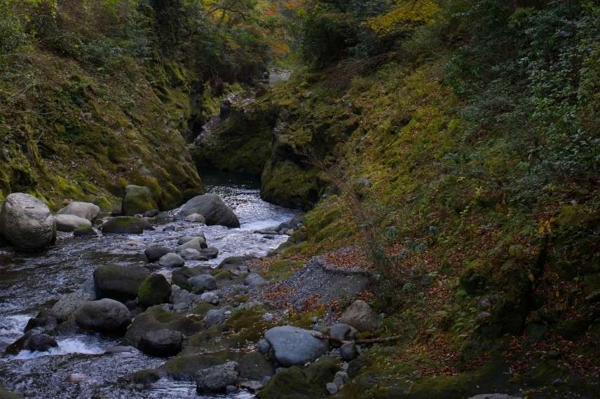 riviere seche jardin japonais