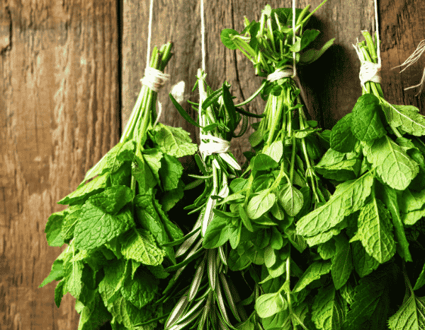 Comment faire ses bouquets d’aromates maison à suspendre ?