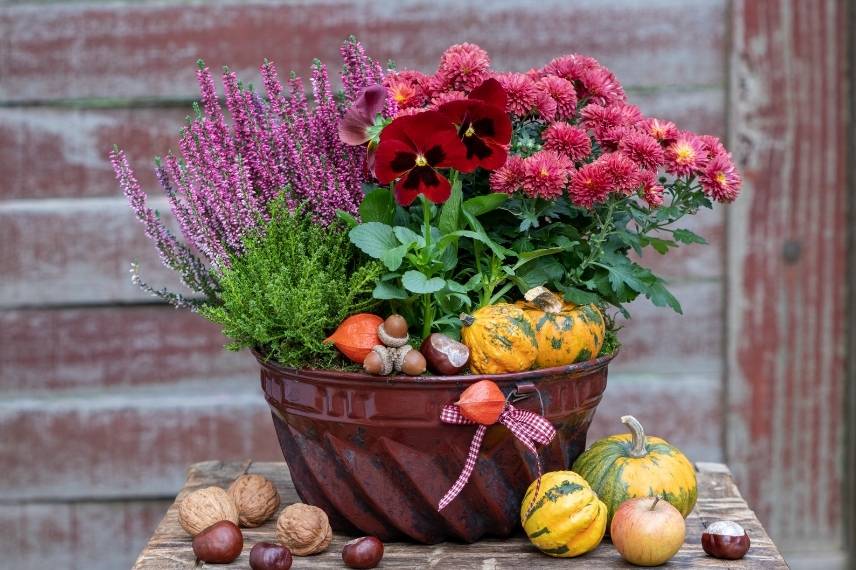 idees jardiniere avec des pensees