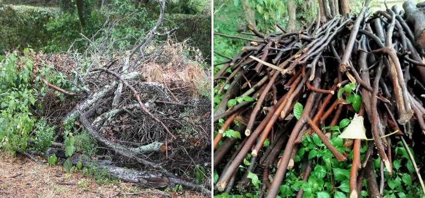 des tas de branches au jardin