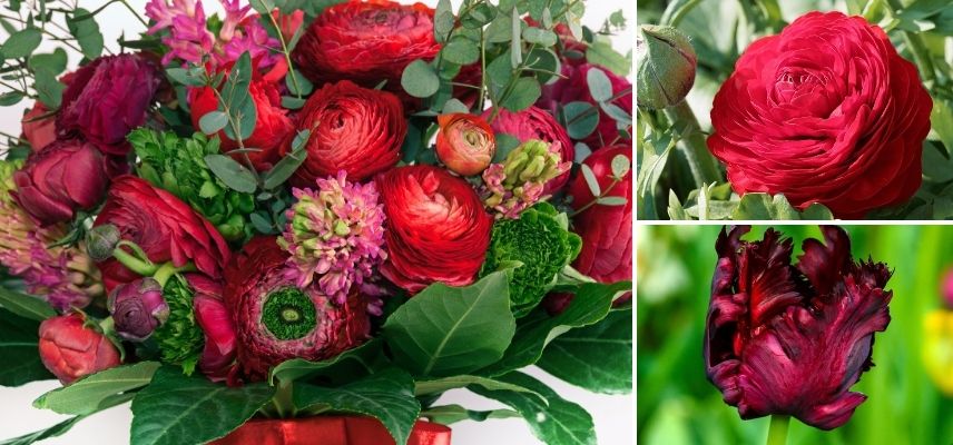 bouquet rouge renoncules